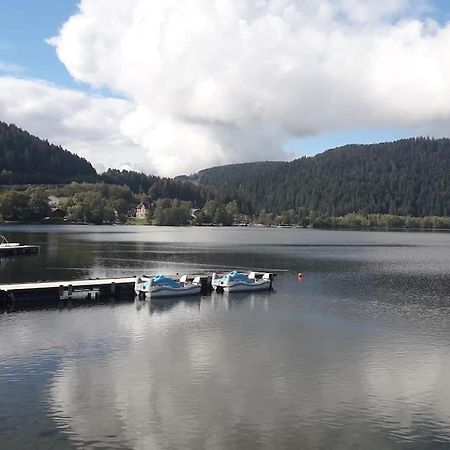 Chalet 3 Etoiles A Gerardmer. Kültér fotó