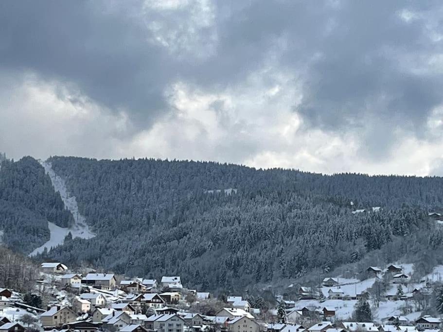 Chalet 3 Etoiles A Gerardmer. Kültér fotó