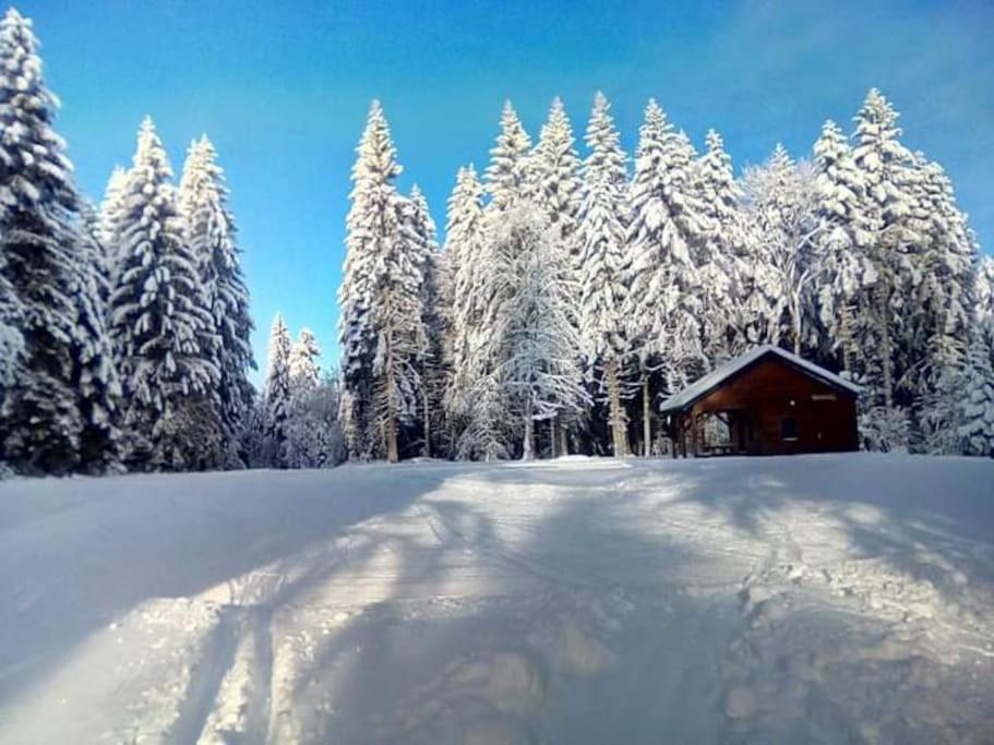 Chalet 3 Etoiles A Gerardmer. Kültér fotó