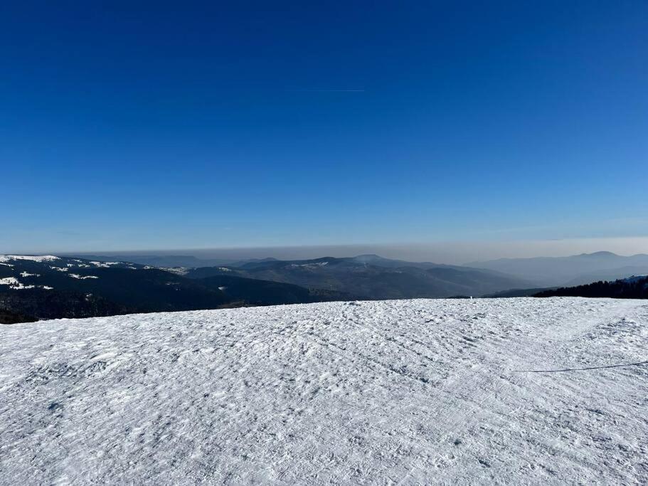 Chalet 3 Etoiles A Gerardmer. Kültér fotó