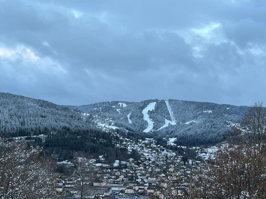 Chalet 3 Etoiles A Gerardmer. Kültér fotó