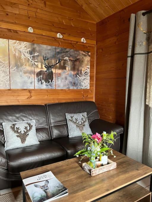 Chalet 3 Etoiles A Gerardmer. Kültér fotó