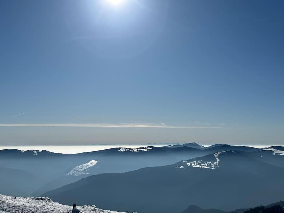 Chalet 3 Etoiles A Gerardmer. Kültér fotó