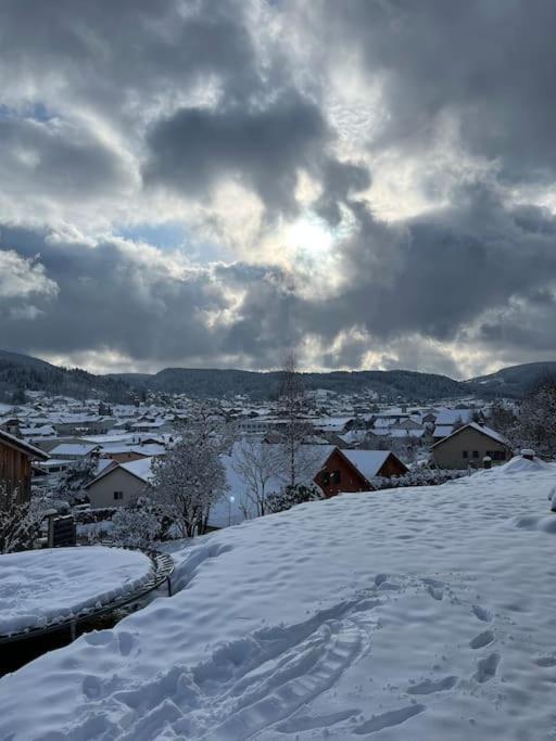 Chalet 3 Etoiles A Gerardmer. Kültér fotó