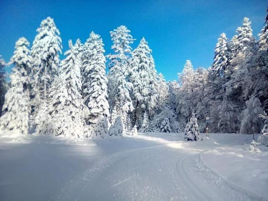 Chalet 3 Etoiles A Gerardmer. Kültér fotó