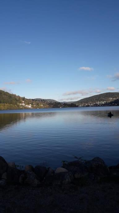 Chalet 3 Etoiles A Gerardmer. Kültér fotó