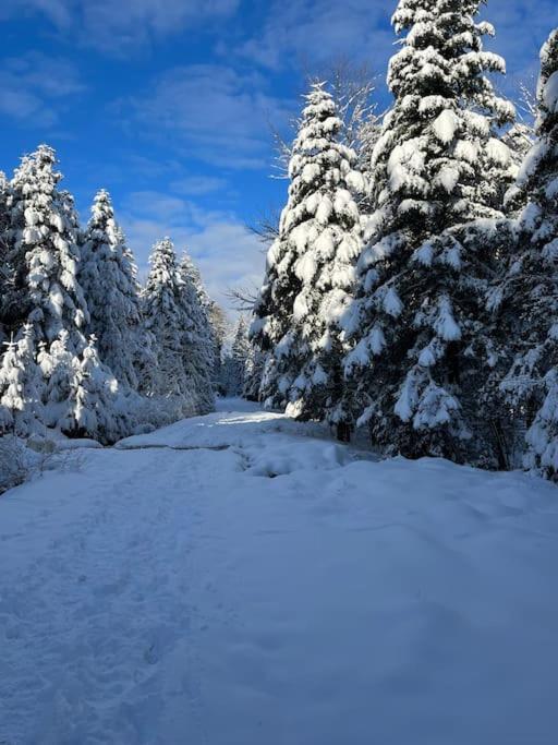 Chalet 3 Etoiles A Gerardmer. Kültér fotó