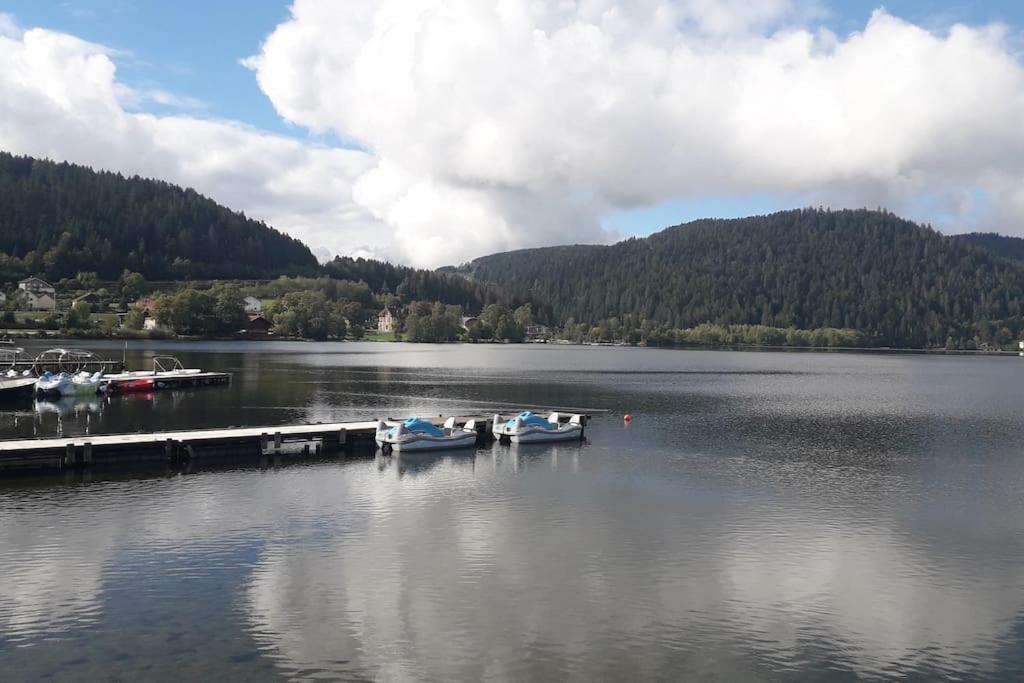 Chalet 3 Etoiles A Gerardmer. Kültér fotó